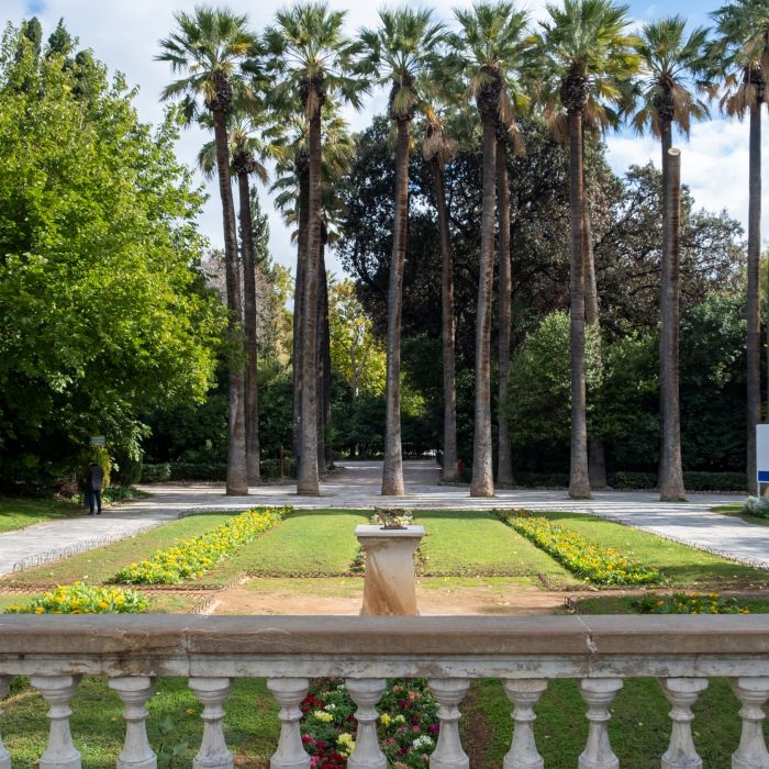 Private Athens Orientation & Food Tasting Tour